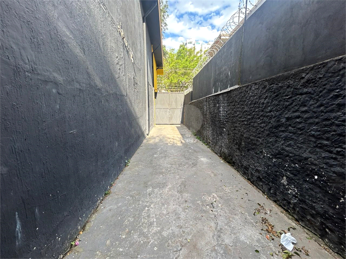 Foto REO1124124