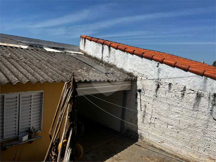 Foto REO1124128