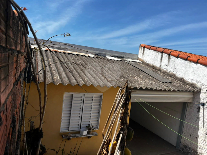Foto REO1124128