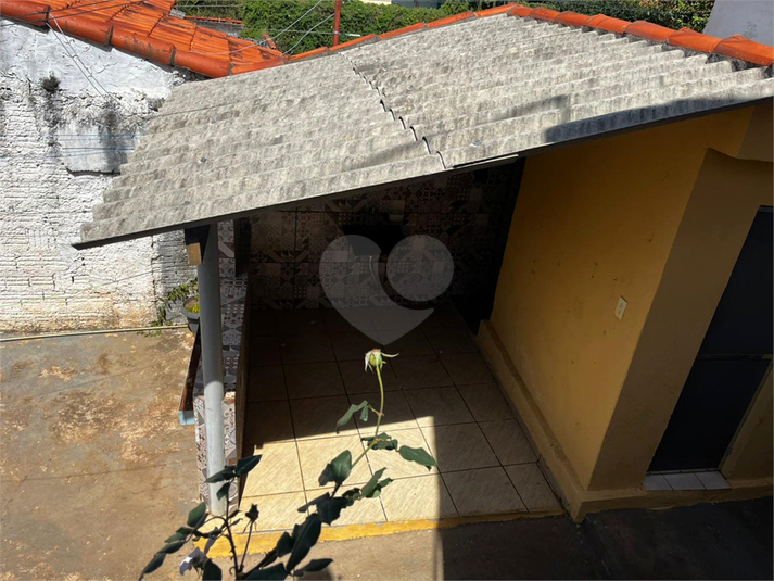 Foto REO1124128