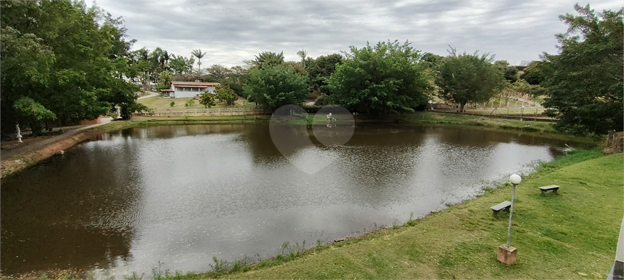 Foto REO1124144