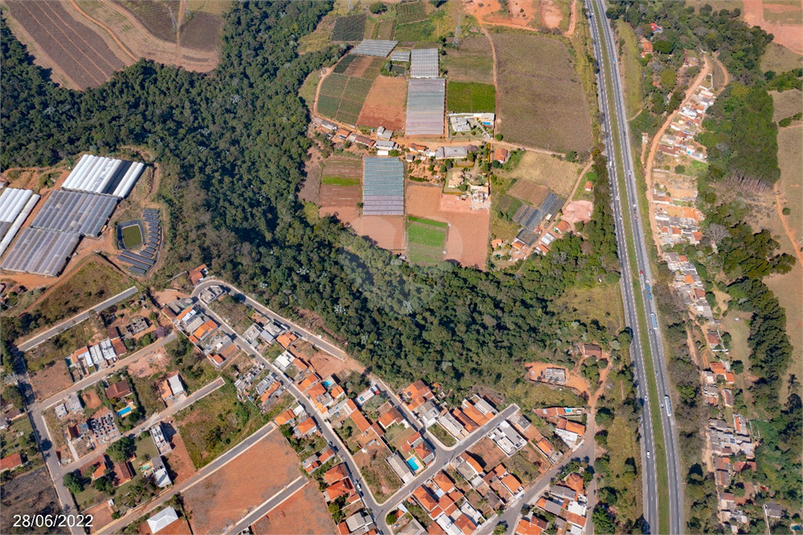 Foto REO1124187