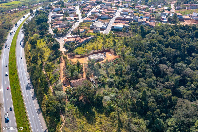 Foto REO1124187