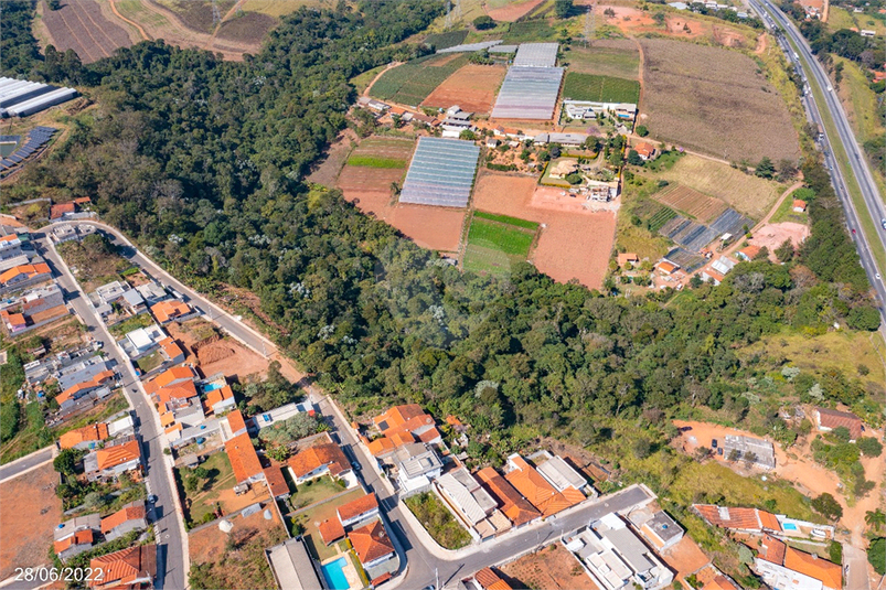 Foto REO1124187