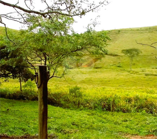 Foto REO1124201