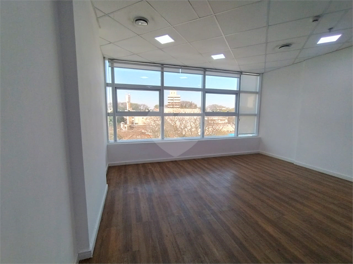 Foto REO1124207