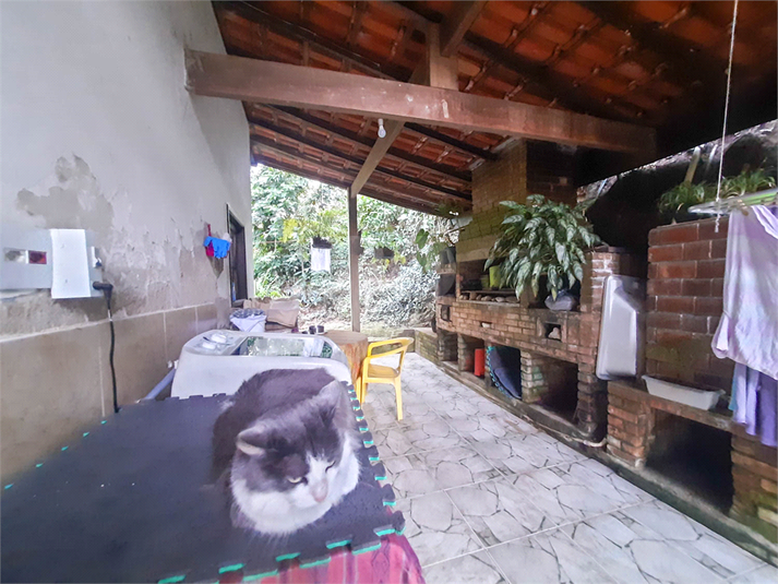 Foto REO1124226