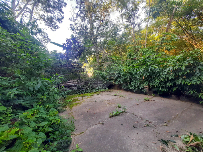 Foto REO1124226