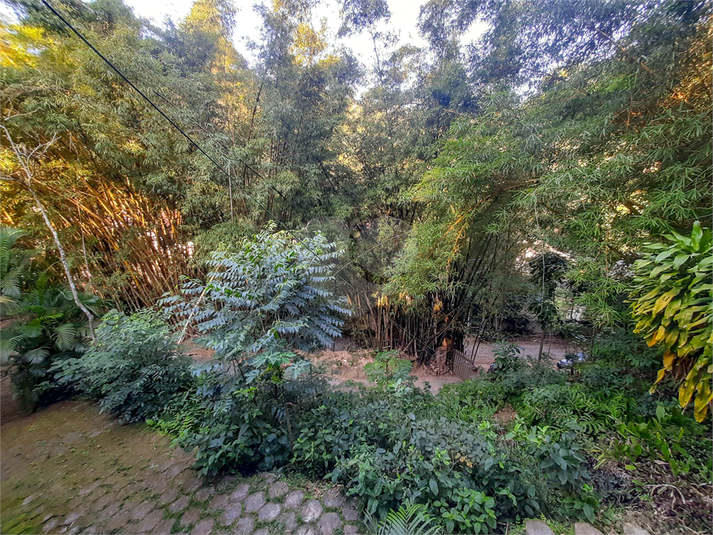 Foto REO1124226