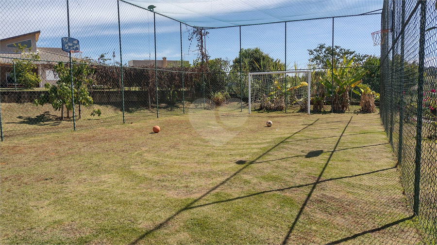 Foto REO1124238