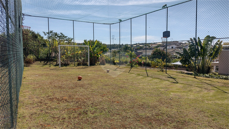 Foto REO1124238