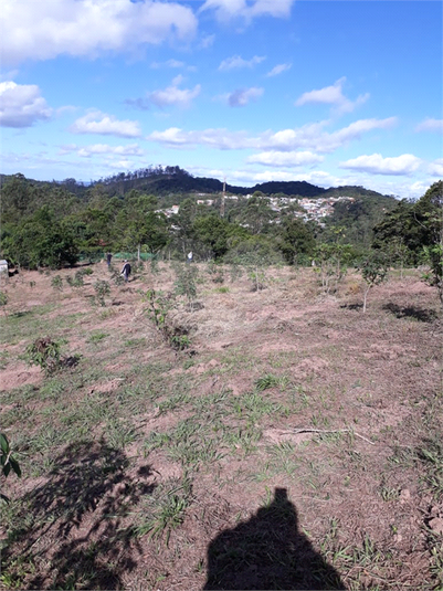 Foto REO1124245