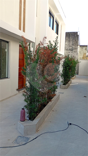 Foto REO1124246