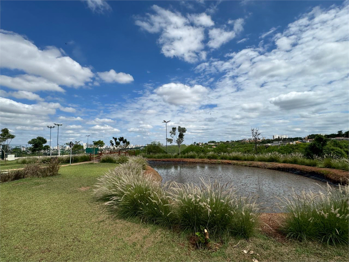 Foto REO1124257
