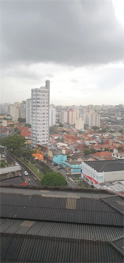 Foto REO1124263