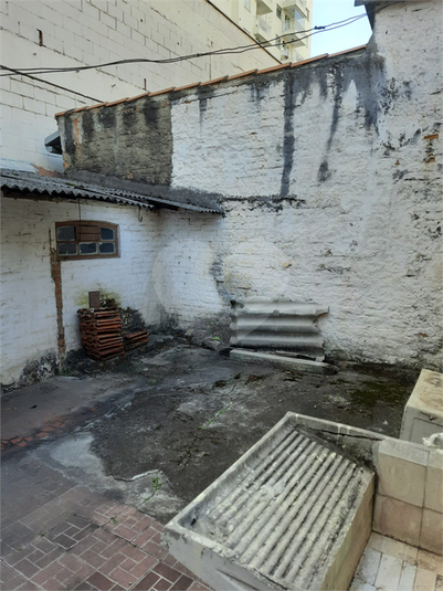 Foto REO1124280