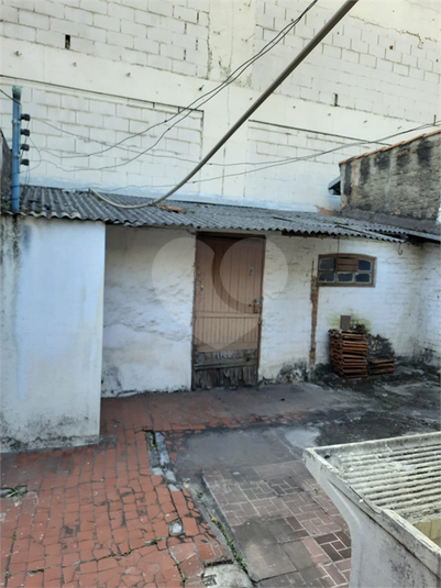 Foto REO1124280
