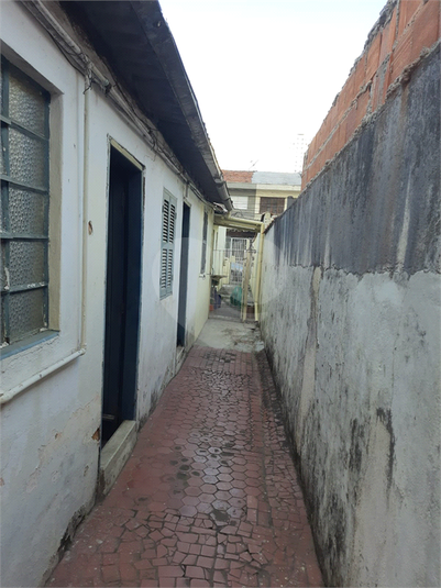 Foto REO1124280