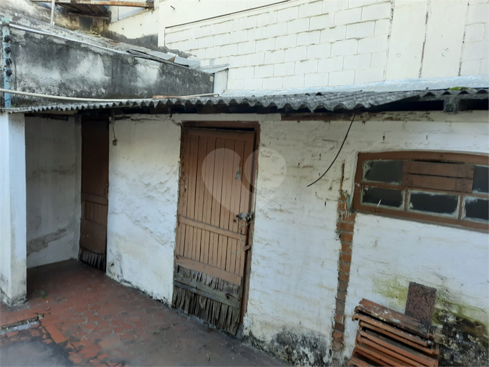 Foto REO1124280