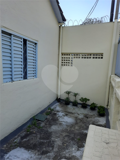 Foto REO1124280