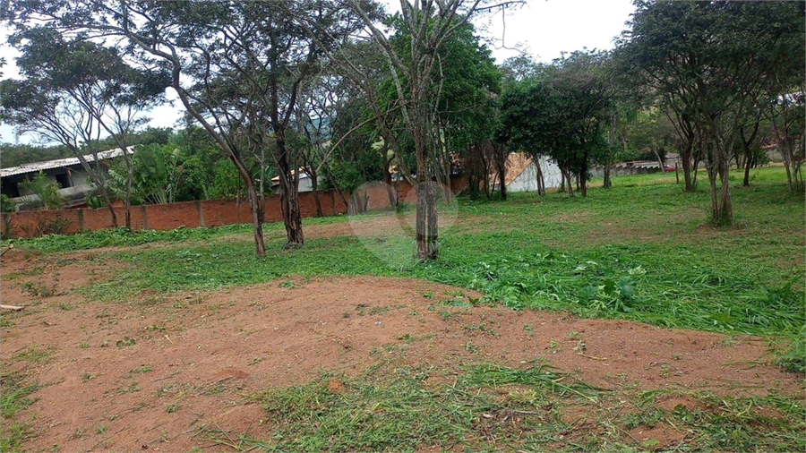 Foto REO1124300