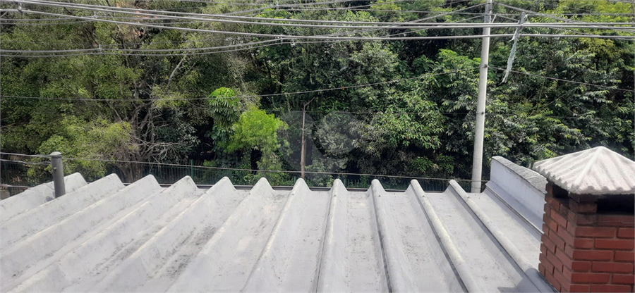 Foto REO1124318