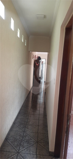 Foto REO1124318