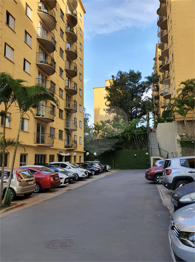 Foto REO1124323