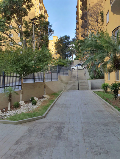 Foto REO1124323