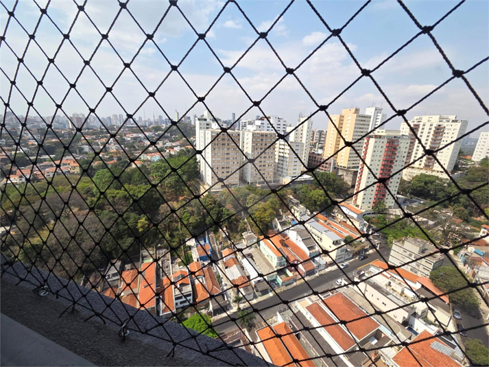 Foto REO1124331