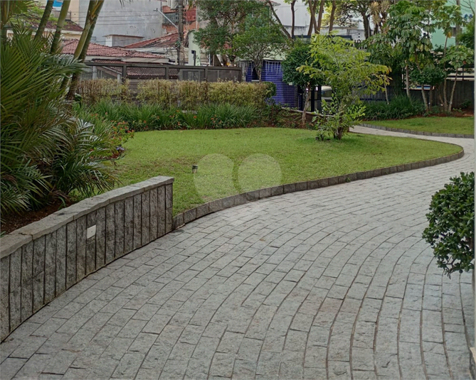 Foto REO1124340
