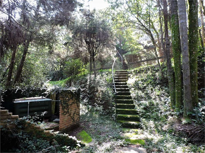 Foto REO1124342