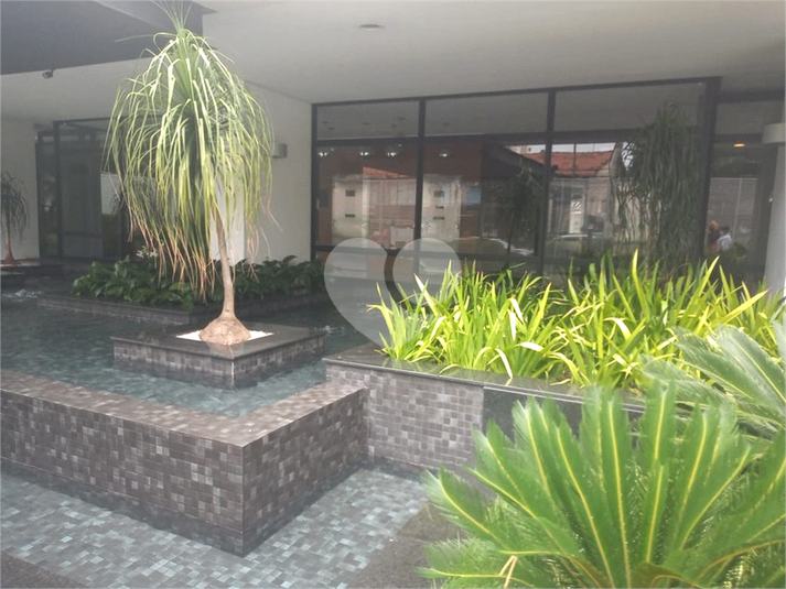 Foto REO1124344