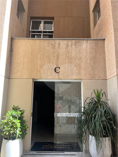 Foto REO1124351