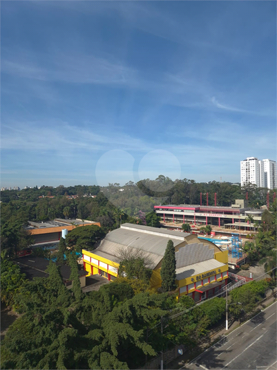 Foto REO1124352