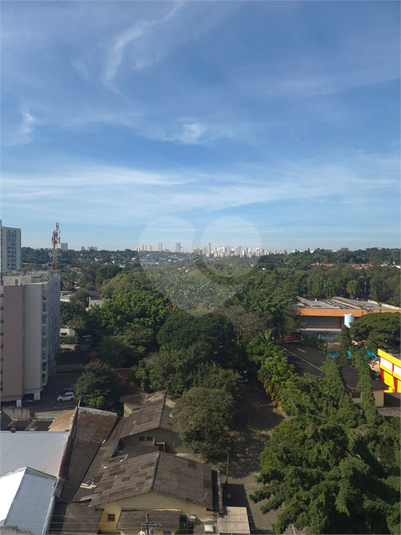 Foto REO1124352
