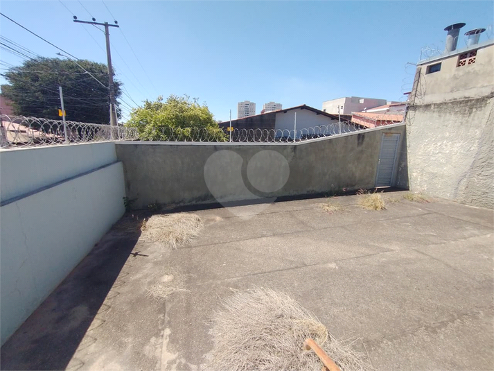 Foto REO1124357
