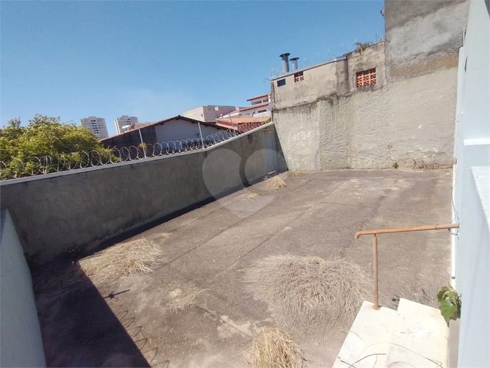 Foto REO1124357