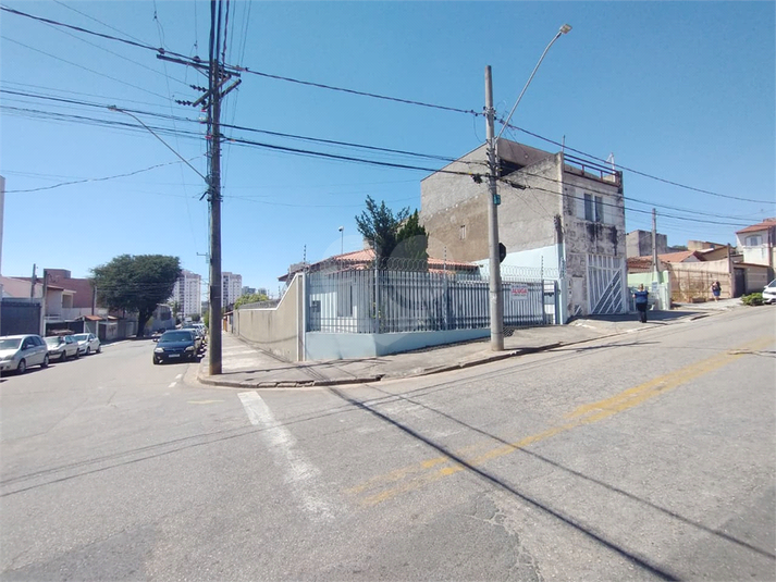 Foto REO1124357