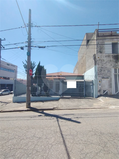 Foto REO1124357