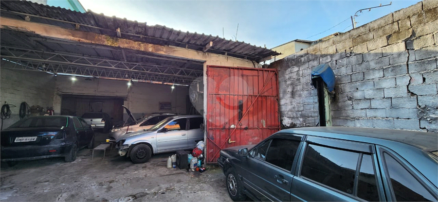 Foto REO1124366