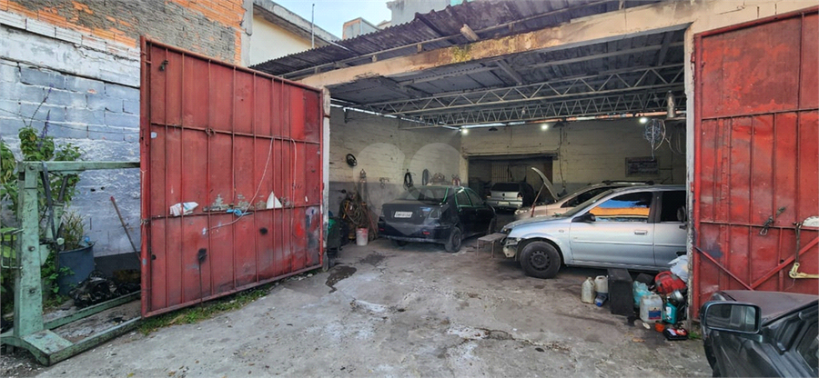 Foto REO1124366