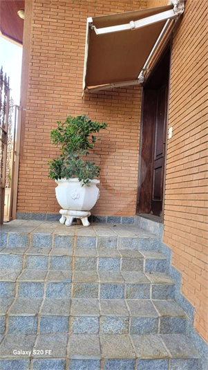Foto REO1124379