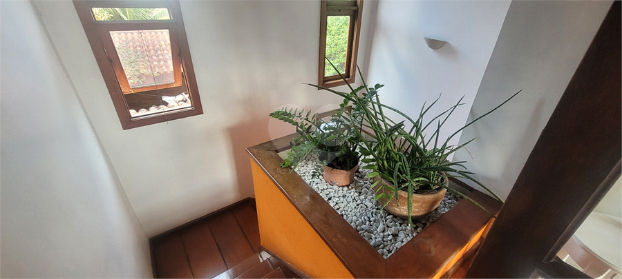 Foto REO1124382