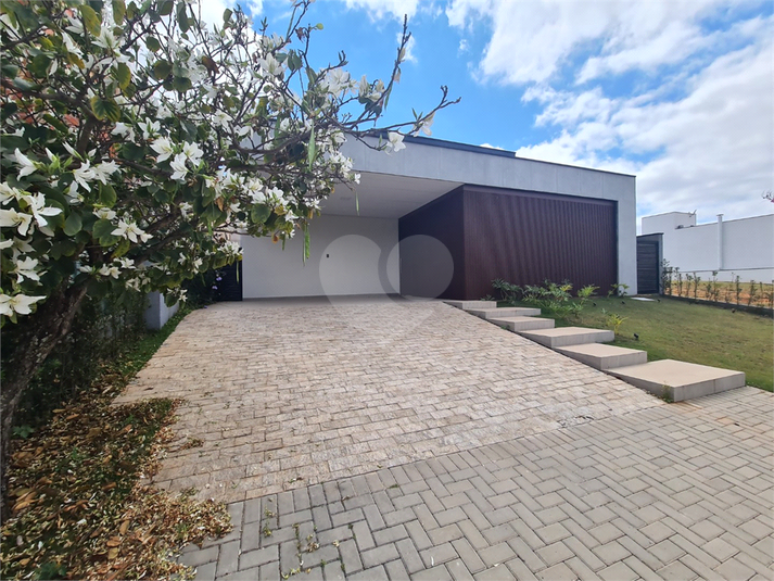 Foto REO1124384