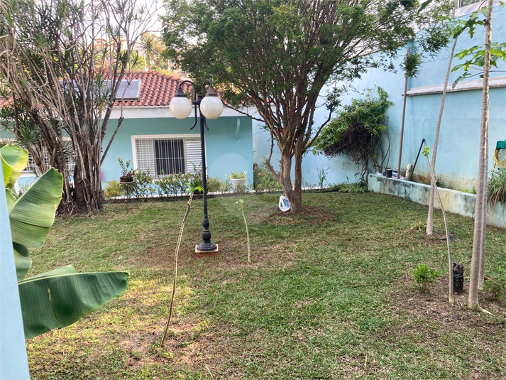 Foto REO1124385
