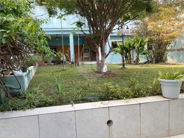 Foto REO1124385