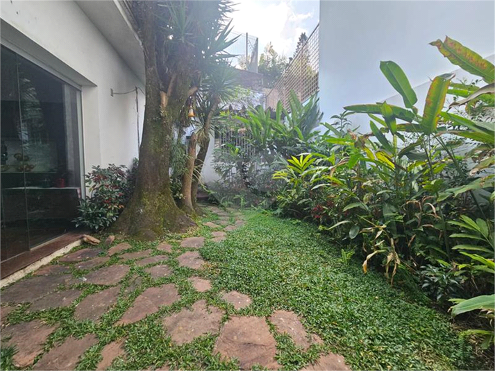 Foto REO1124390