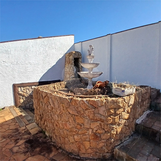 Foto REO1124397