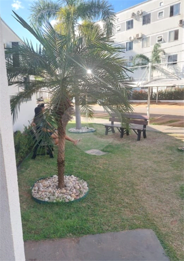 Foto REO1124420